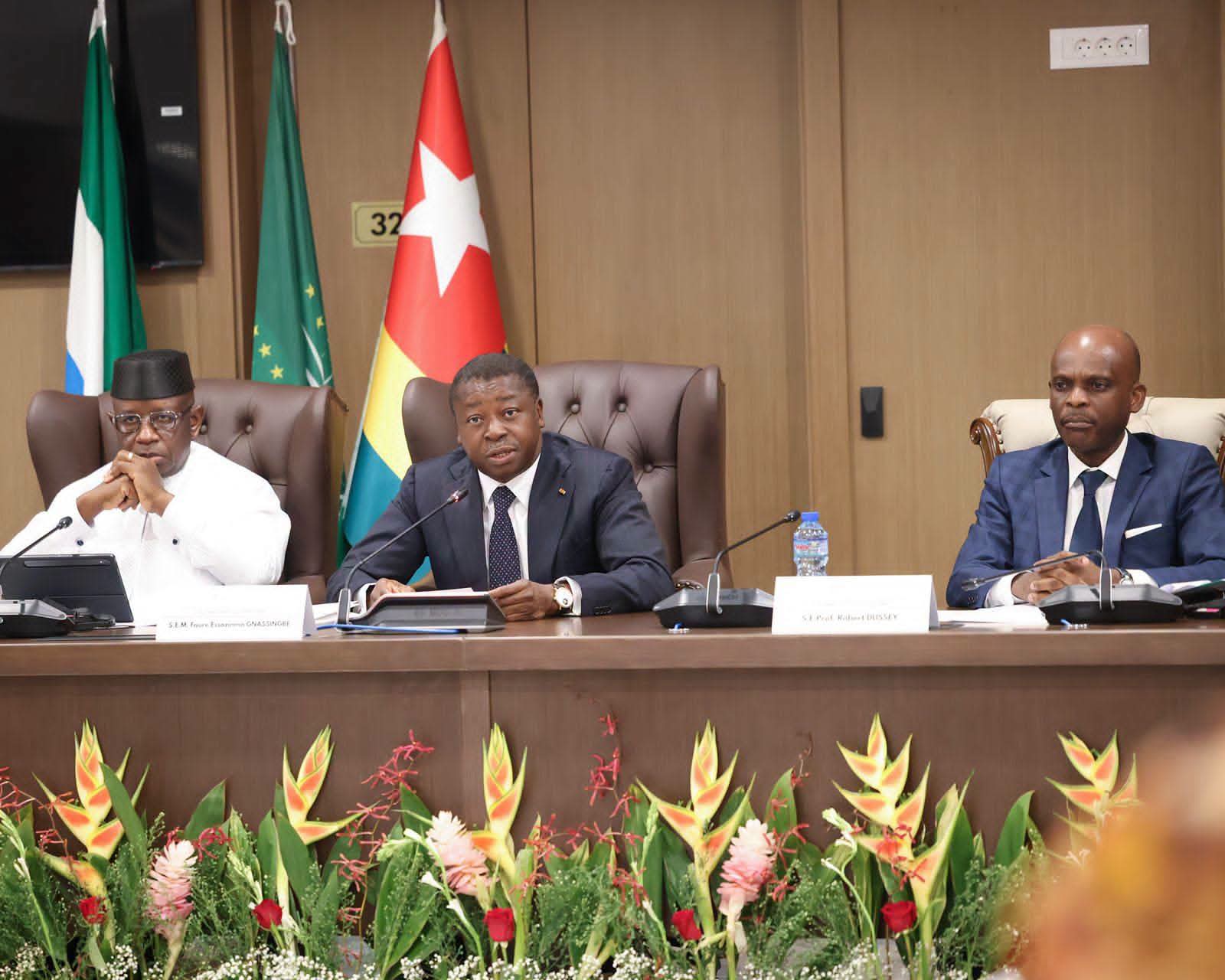 Alliance Politique Africaine 